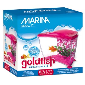 MARINA Cool 7 Goldfish rose