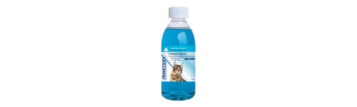 Hygiène chat Hygiène chat