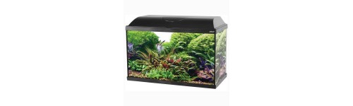 Aquariums Aquariums