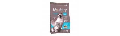MASTERY chat MASTERY chat