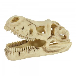 ZOLUX Décor crâne dinosaure carnivore