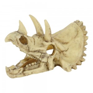 ZOLUX Décor crâne dinosaure Tricératops