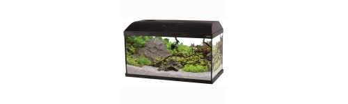 Petits aquariums Petits aquariums