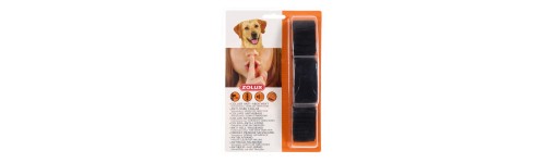 Education chien Education chien