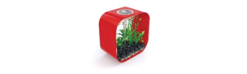Aquariums décoratifs Aquariums décoratifs