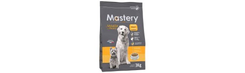 Alimentation chien Alimentation chien
